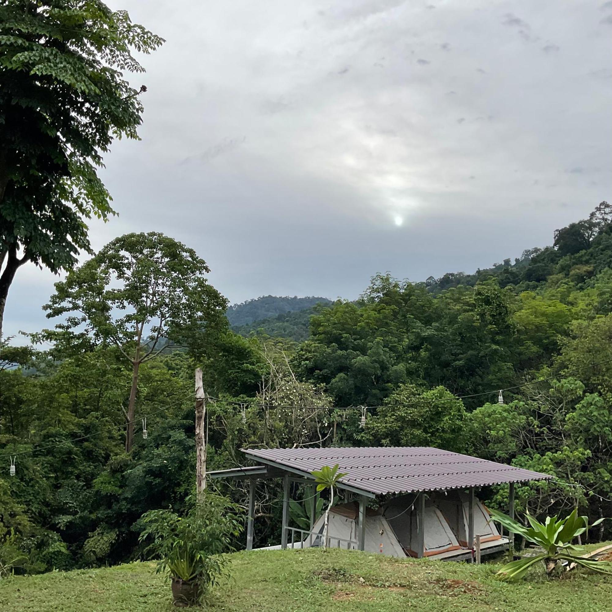 Khao Sok Hill Top Resort Khao Sok National Park Ngoại thất bức ảnh