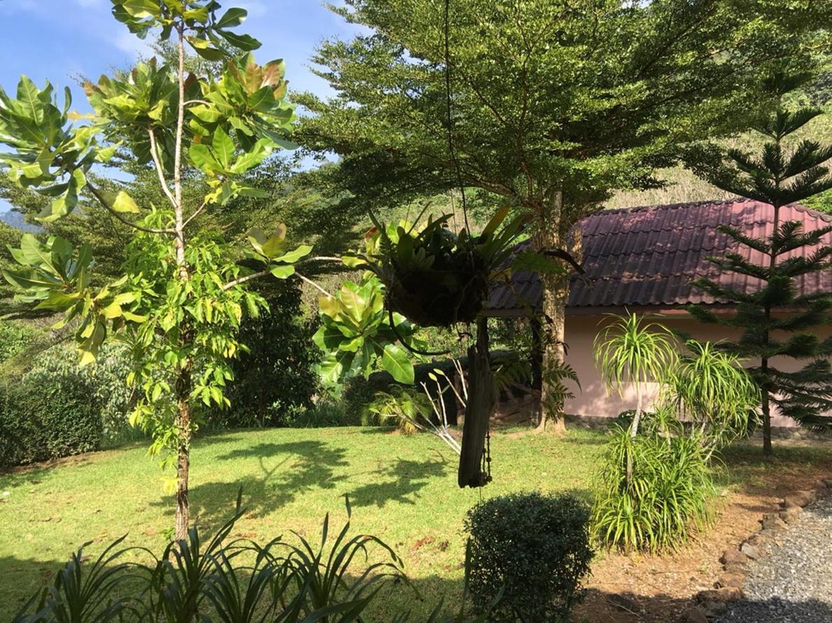 Khao Sok Hill Top Resort Khao Sok National Park Ngoại thất bức ảnh