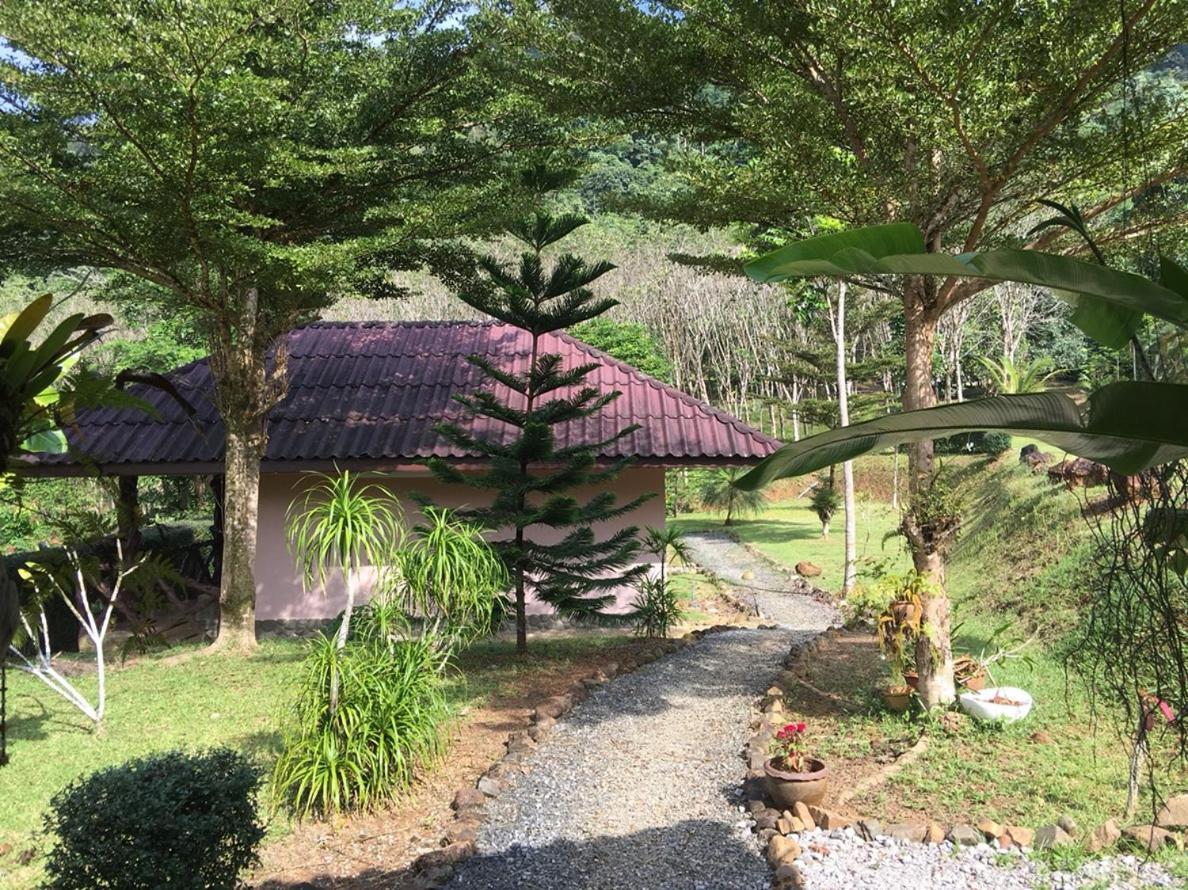 Khao Sok Hill Top Resort Khao Sok National Park Ngoại thất bức ảnh