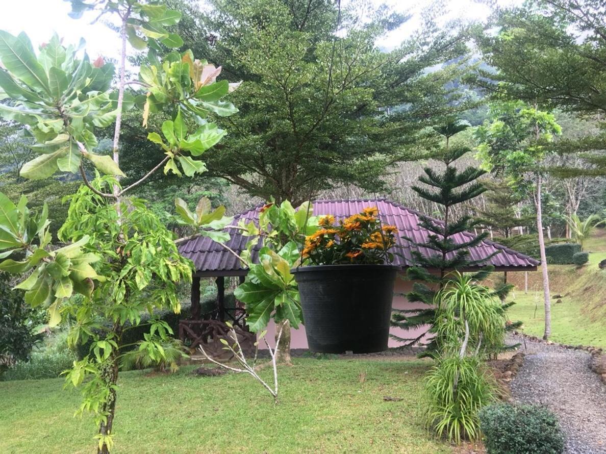 Khao Sok Hill Top Resort Khao Sok National Park Ngoại thất bức ảnh